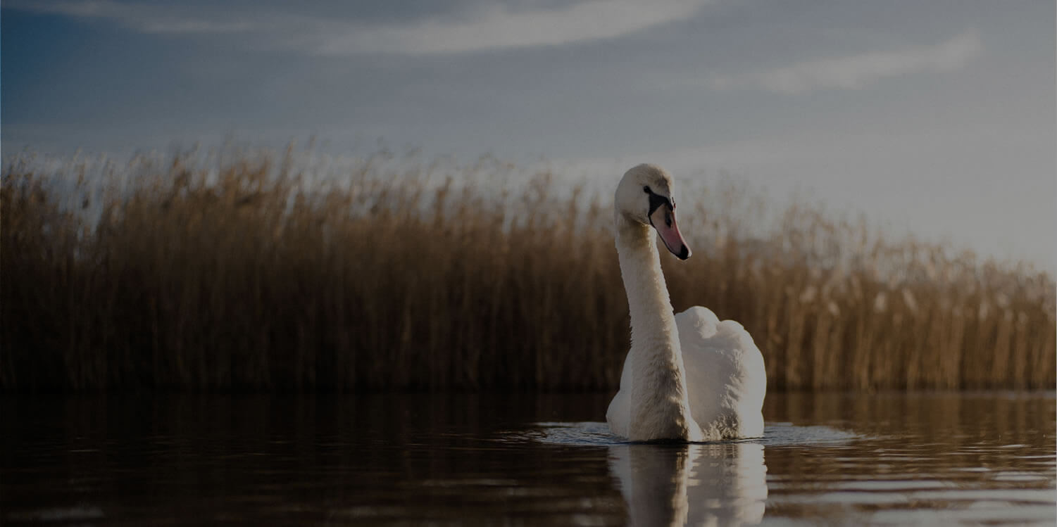 group-holiday-banner