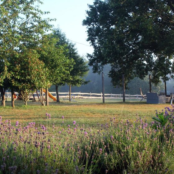 holiday-gallery-nature