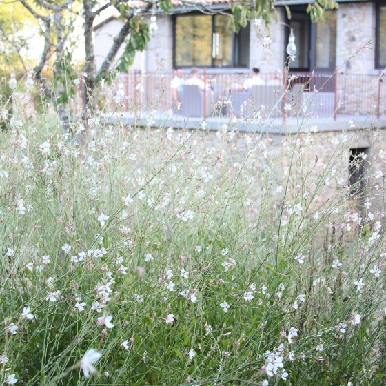 view to suite terrace