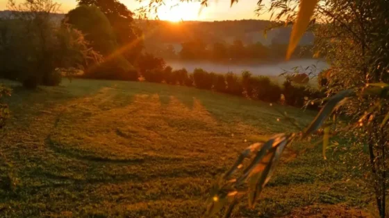 101467394_3145288782158990_648809837181796352_n-1920w