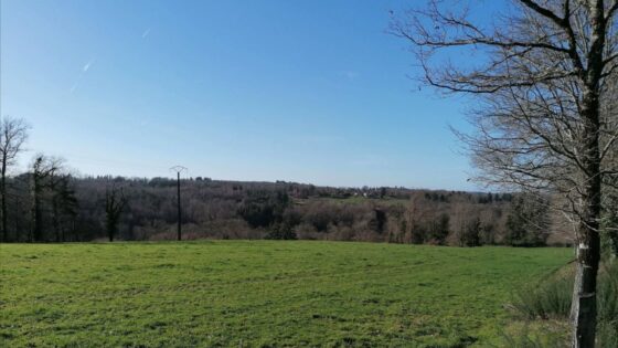 84158861_323059868610364_6013010121989292032_n-1920w